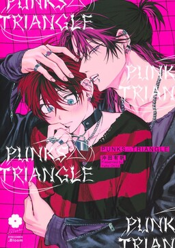 PUNKS △ TRIANGLE