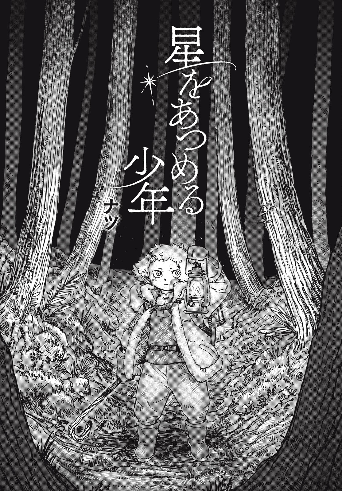 The Boy Who Collects the Stars