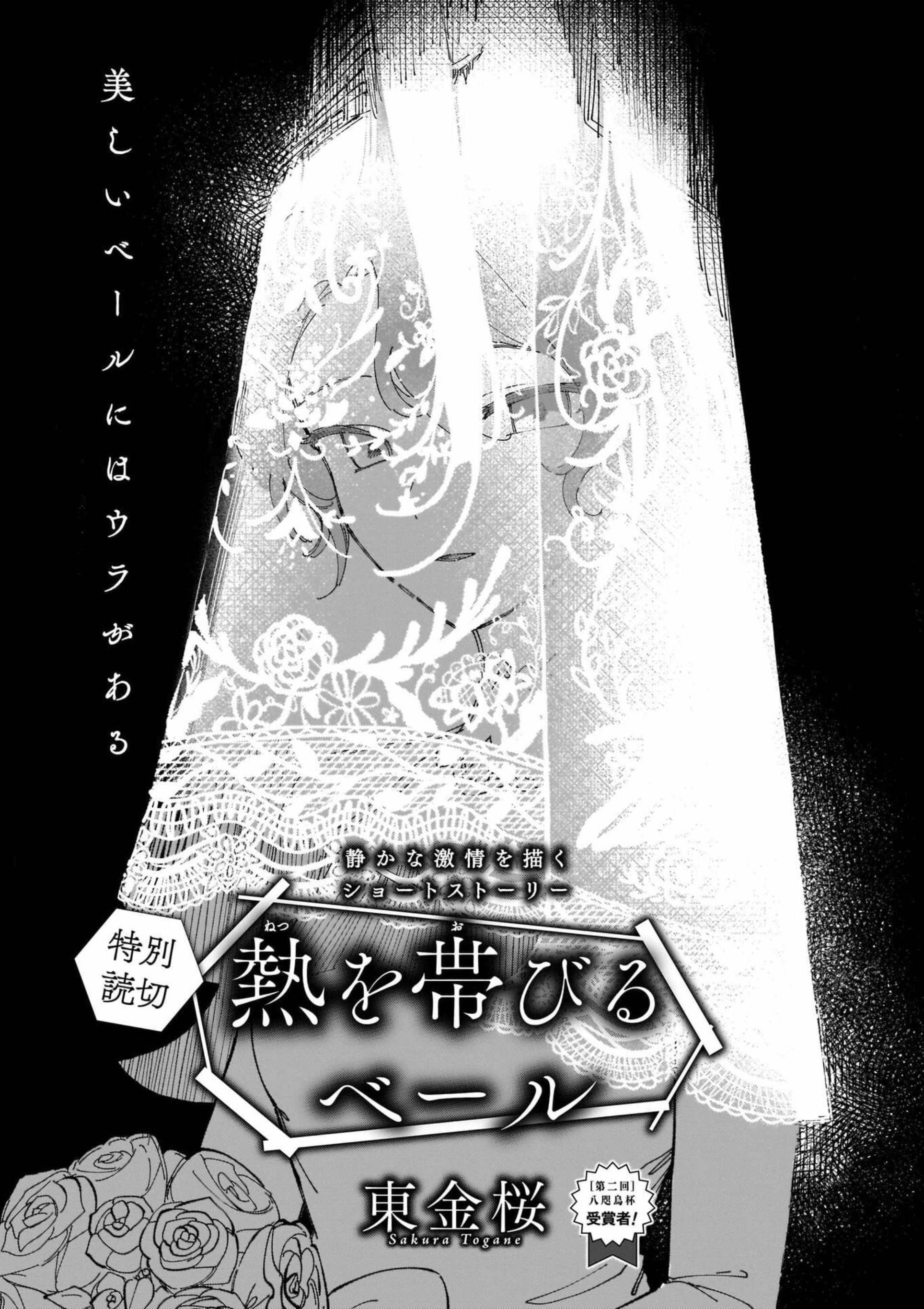 Netsu wo Obiru Veil