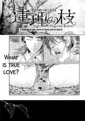 Renri no Eda